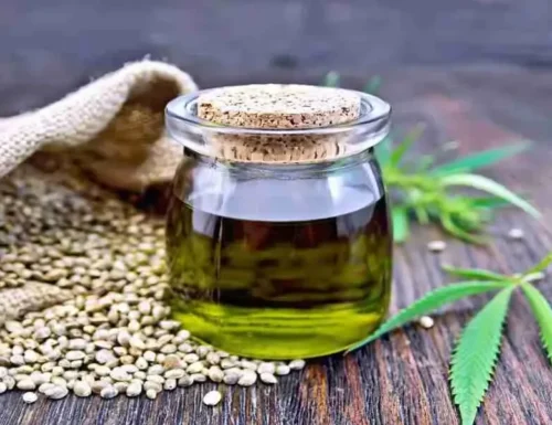 Benefici per la salute dell’olio di semi di canapa