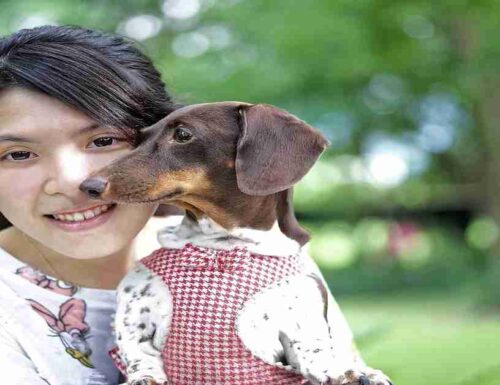 Dogpsicoterapia: che cos’è e la sua importanza