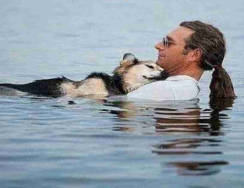 Porta il suo cane al lago ogni giorno con l’artrite per farlo dormire
