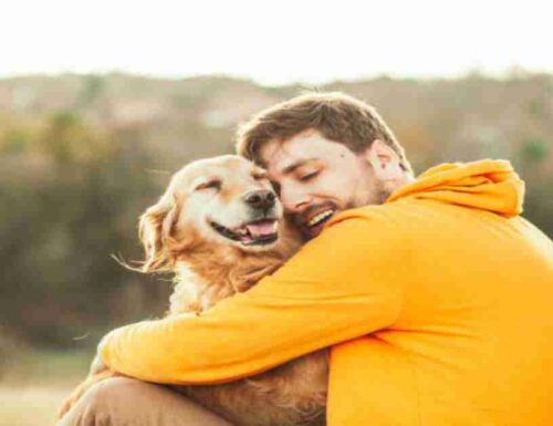 La pet therapy aiuta a rendere viva la tua anima