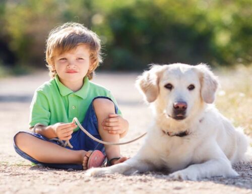 Crescere con un cane: i vantaggi per un bambino