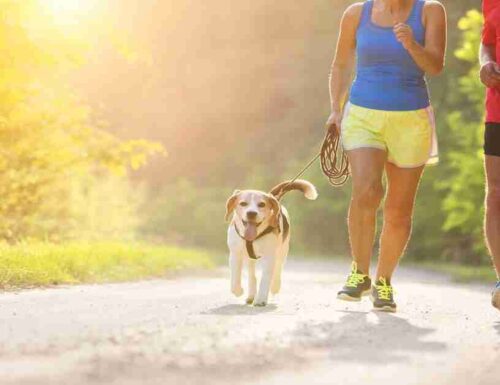 Fitness canino: come farlo e i benefici