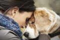 Dogpsicoterapia: sesta fase, la morte prematura del cane