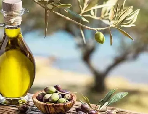I benefici estetici dell’olio di oliva naturale