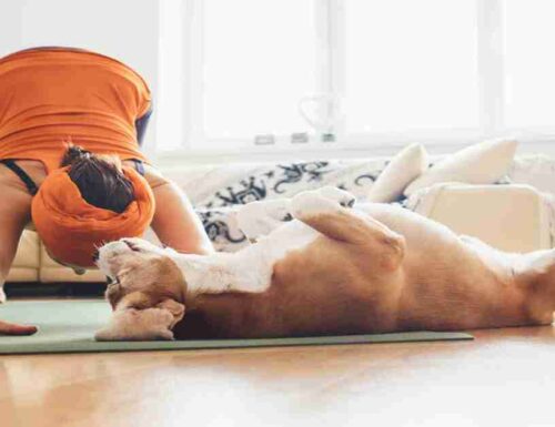 Doga: fare yoga con il tuo cane