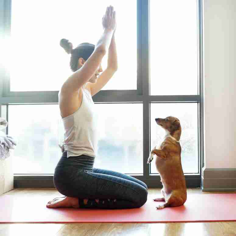 yoga con il tuo cane